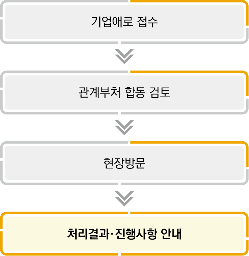 기업애로 접수 → 관계부처 합동 검토 → 현장방문 → 처리결과·진행사항 안내