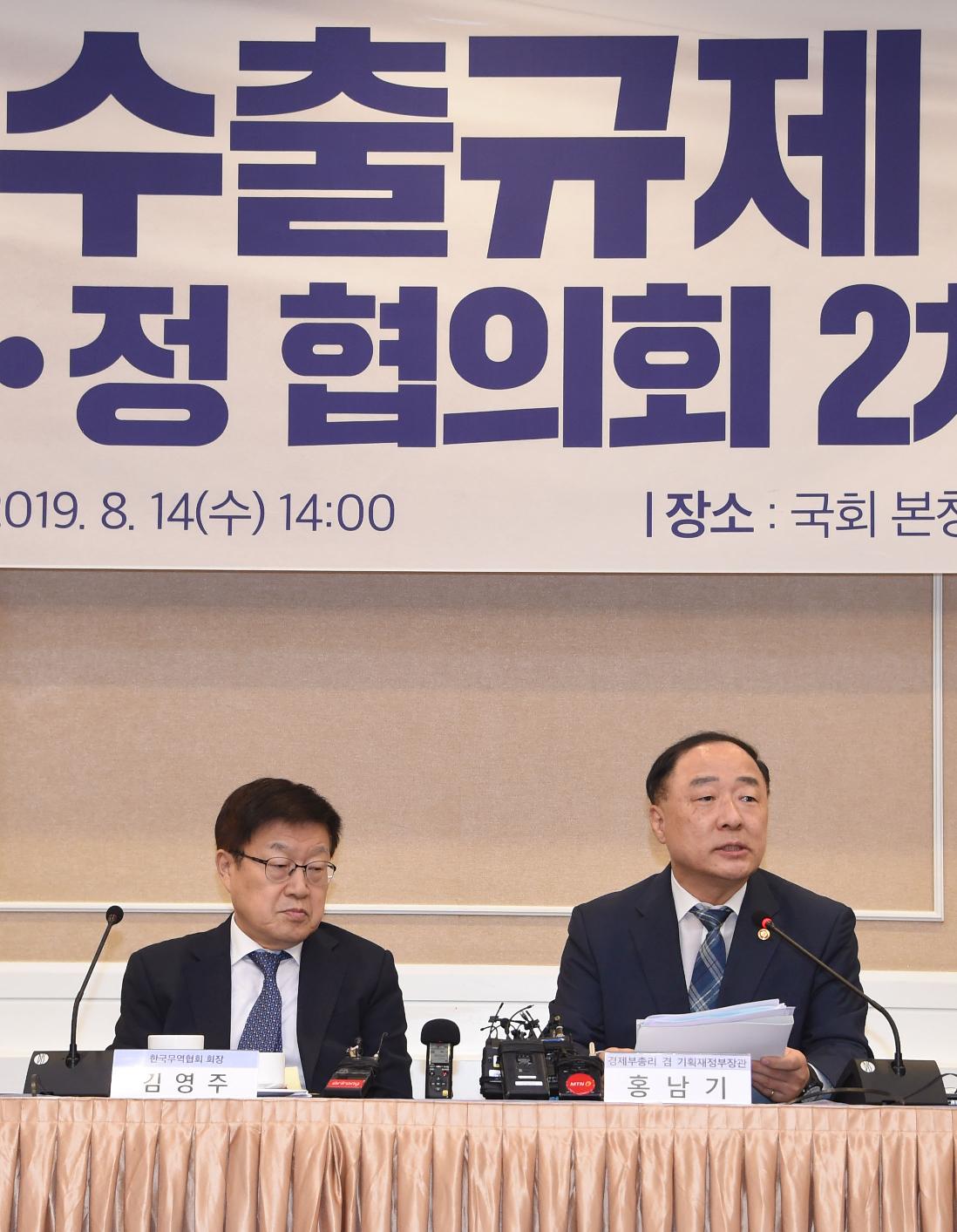 홍남기 부총리, 일본수출규제대책 민.관.정 협의회 2차회의 논의 결과브리핑