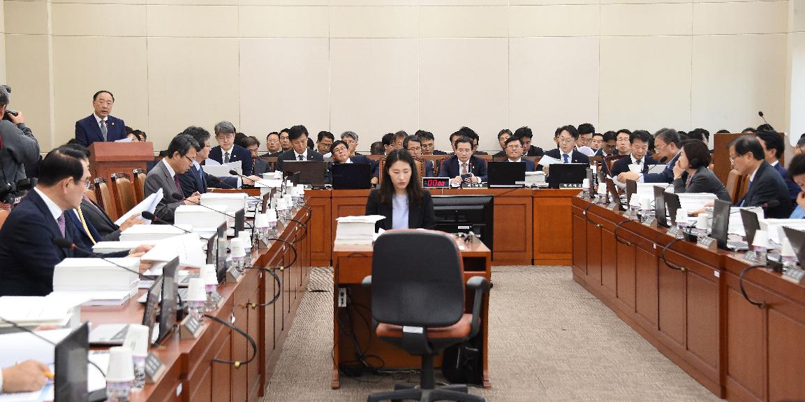 홍남기 부총리, 기획재정위원회