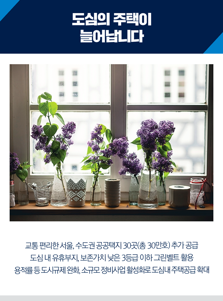 투기는 막고 실수요자는 보호합니다 5}