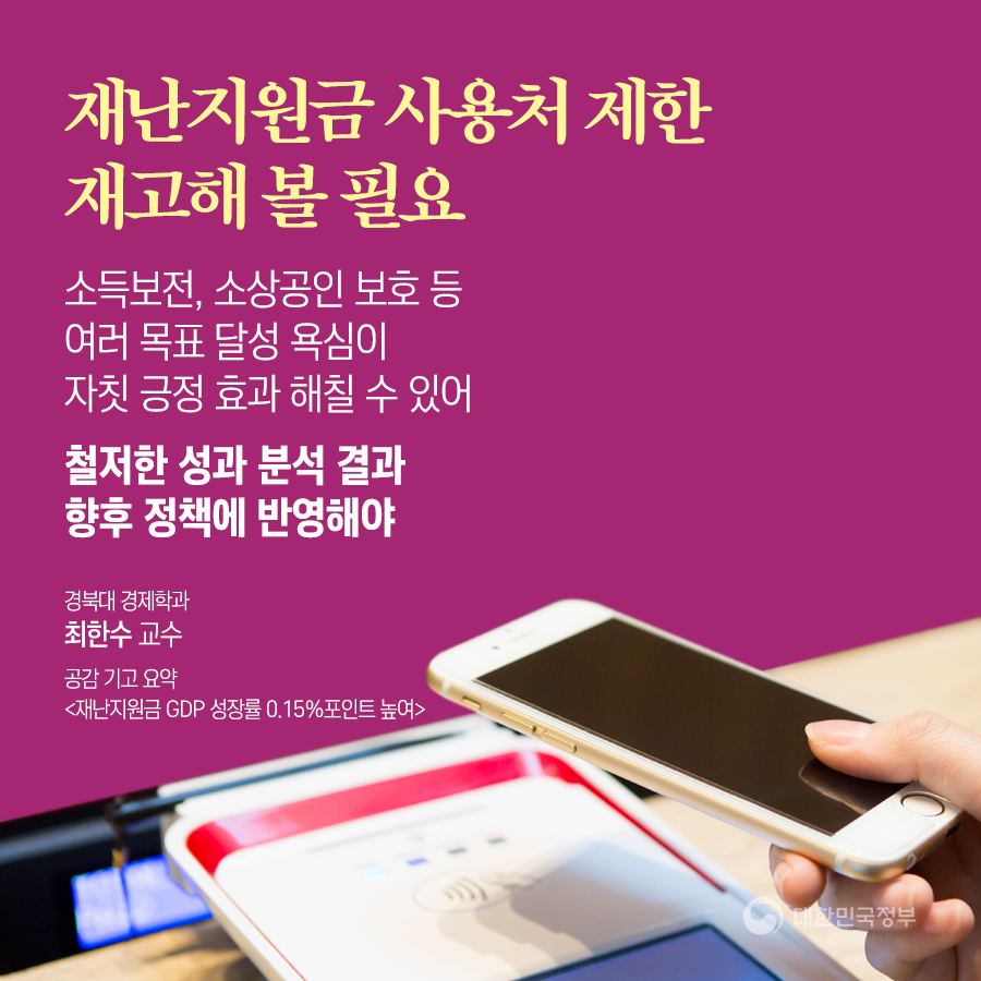정부의 재정 투입 관련 전문가 기고 4}