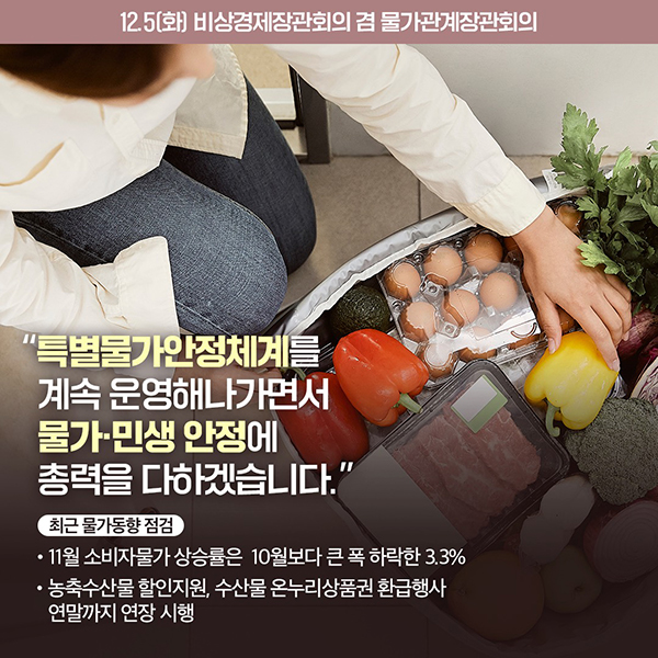 비상경제장관회의 겸 물가관계장관회의