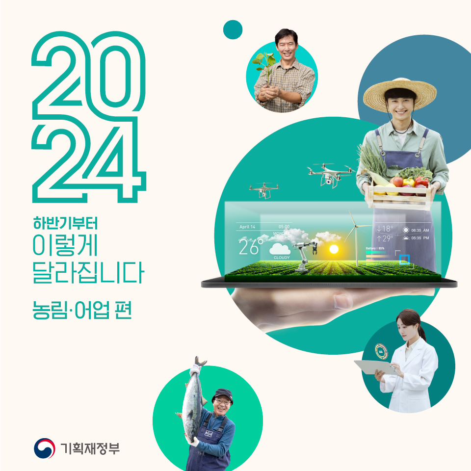 카드뉴스