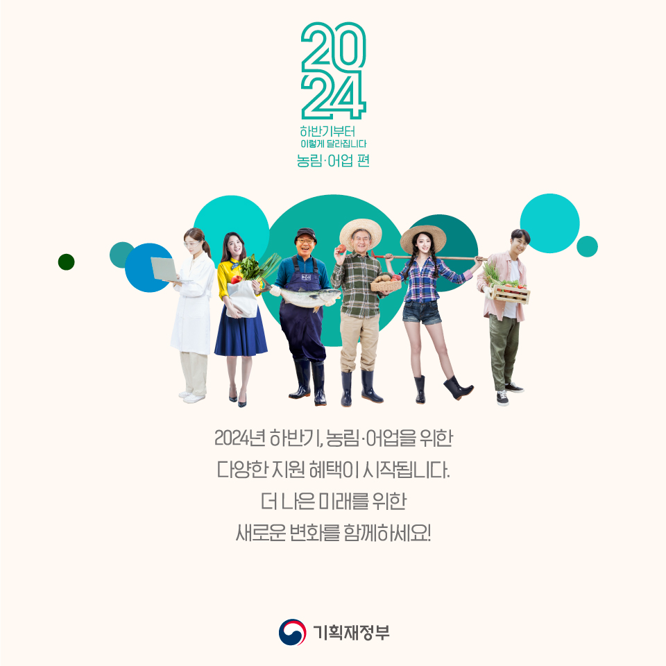 카드뉴스