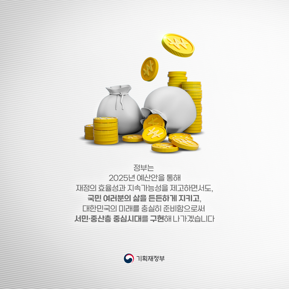 2025 예산안 - 투자중점 10}