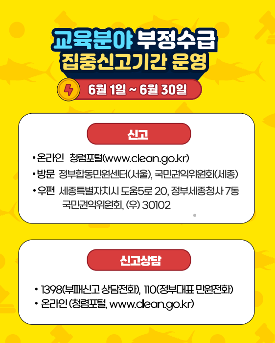 카드뉴스